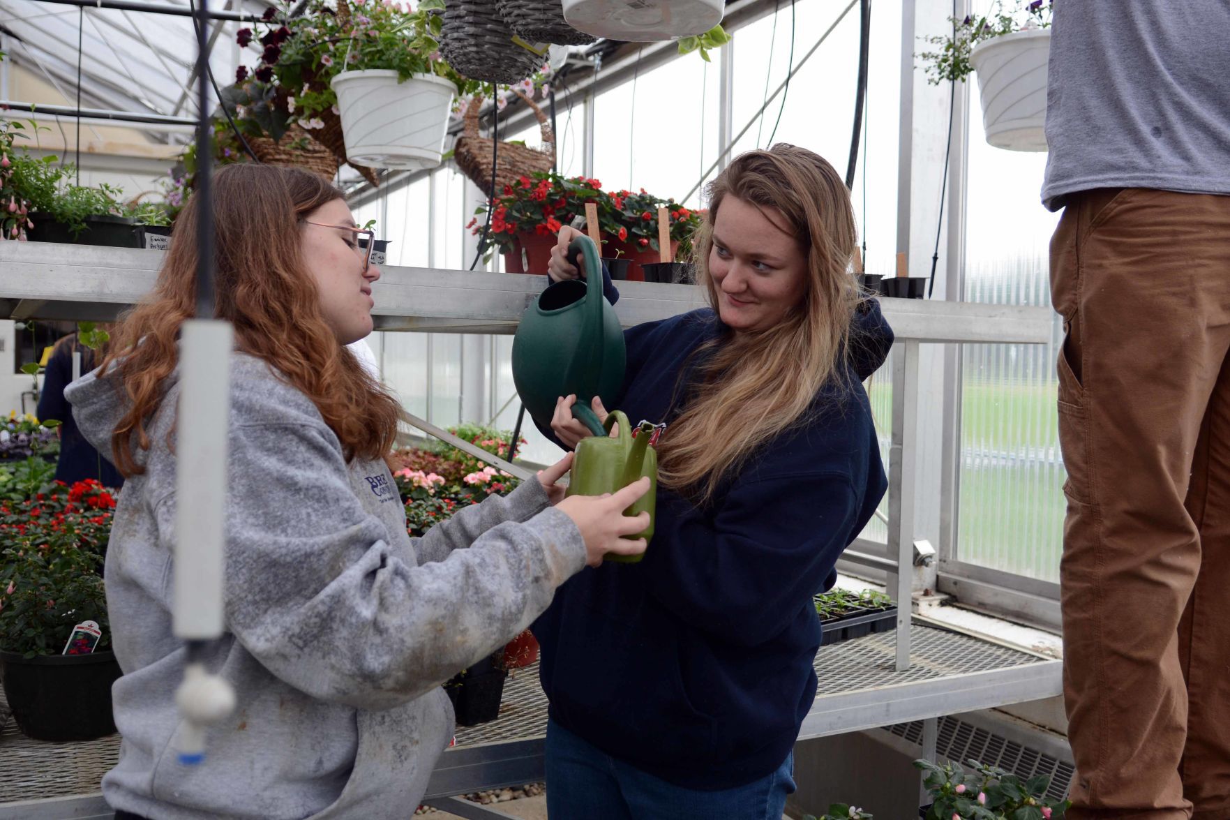 Baraboo High School students prepare for annual plant sale